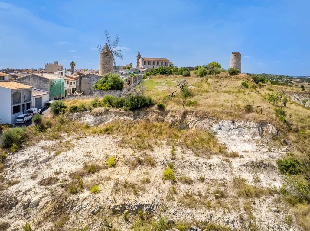 Geweldige investeringsmogelijkheid! Deelbaar perceel in Santa Margalida-5
