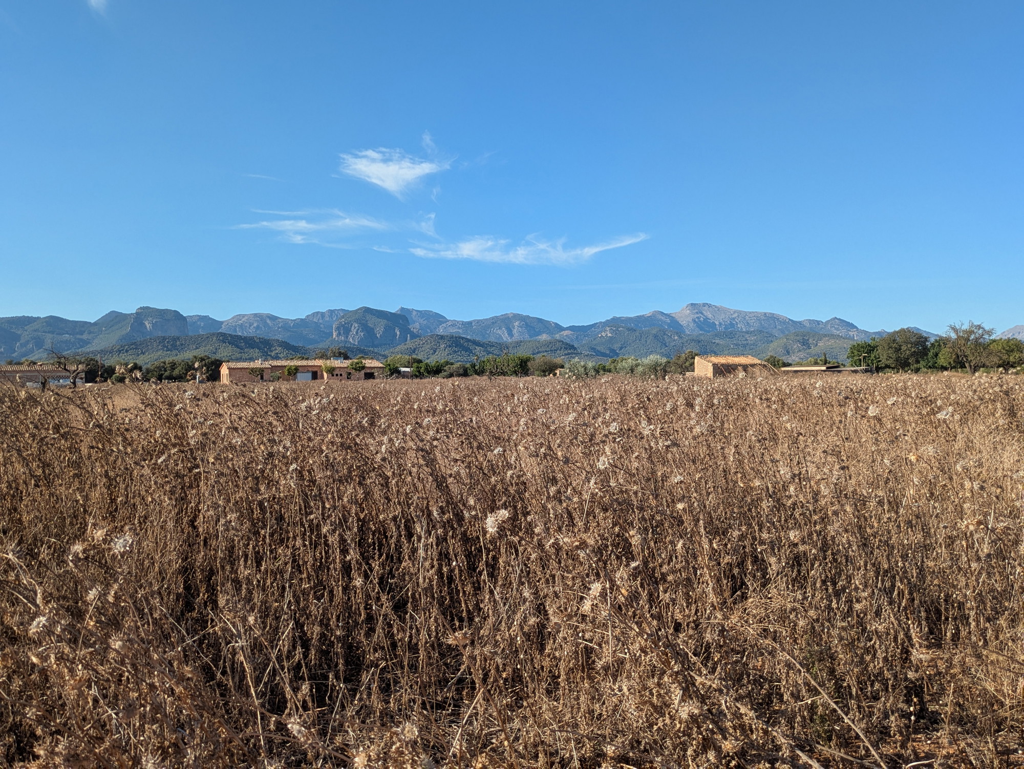 Parcel·la exclusiva per a edificació amb un pla de desenvolupament aprovat i vistes espectaculars de les muntanyes de la Tramuntana.