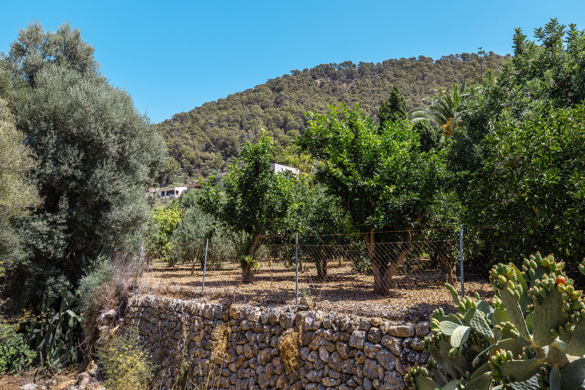 Quietly situated townhouse with pool and parking in Alaró-27
