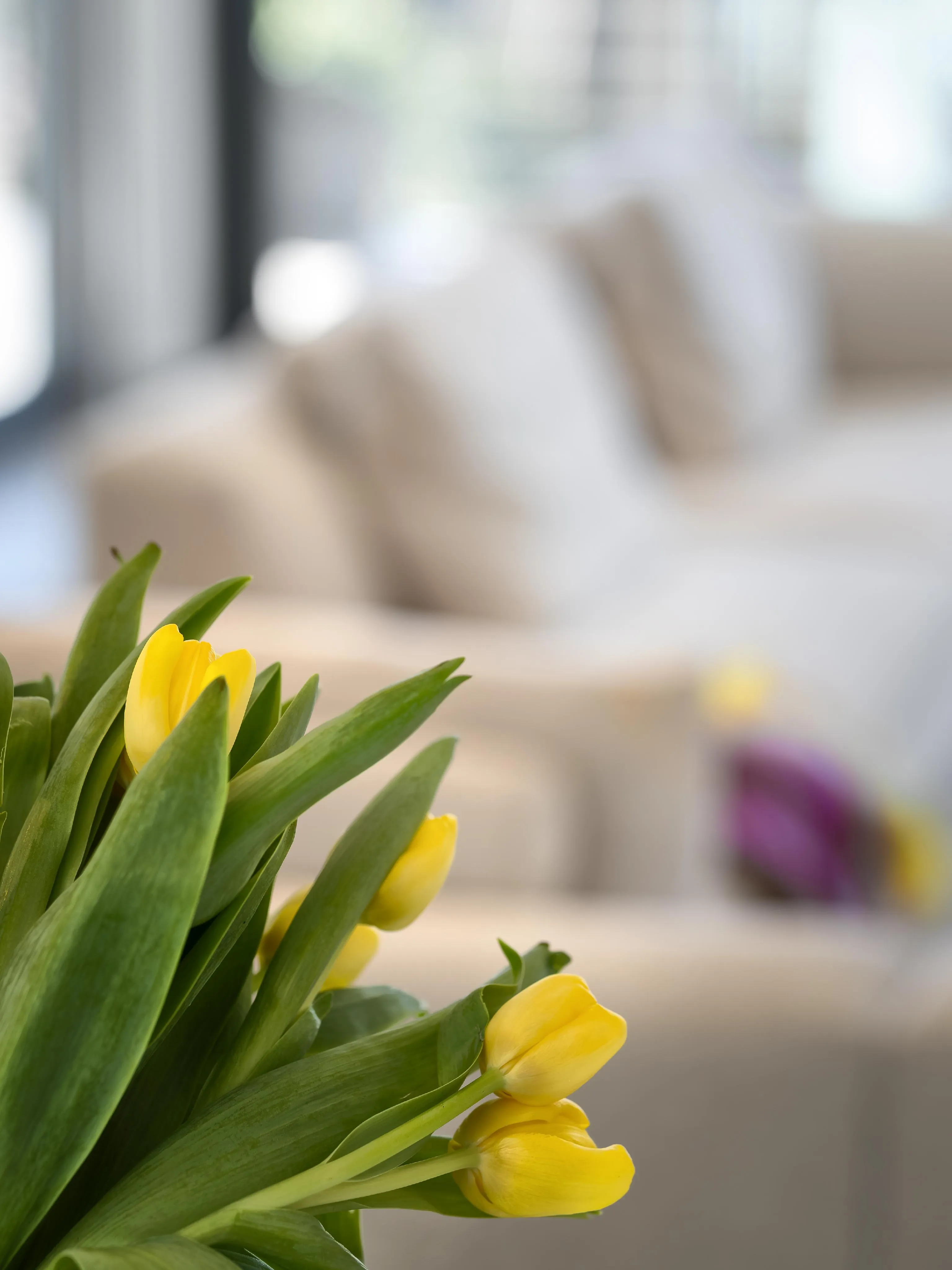 Elegante villa de Verano con vistas a las Islas Malgrats-16