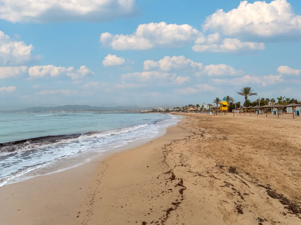 Exclusive beachfront apartment with garden-13