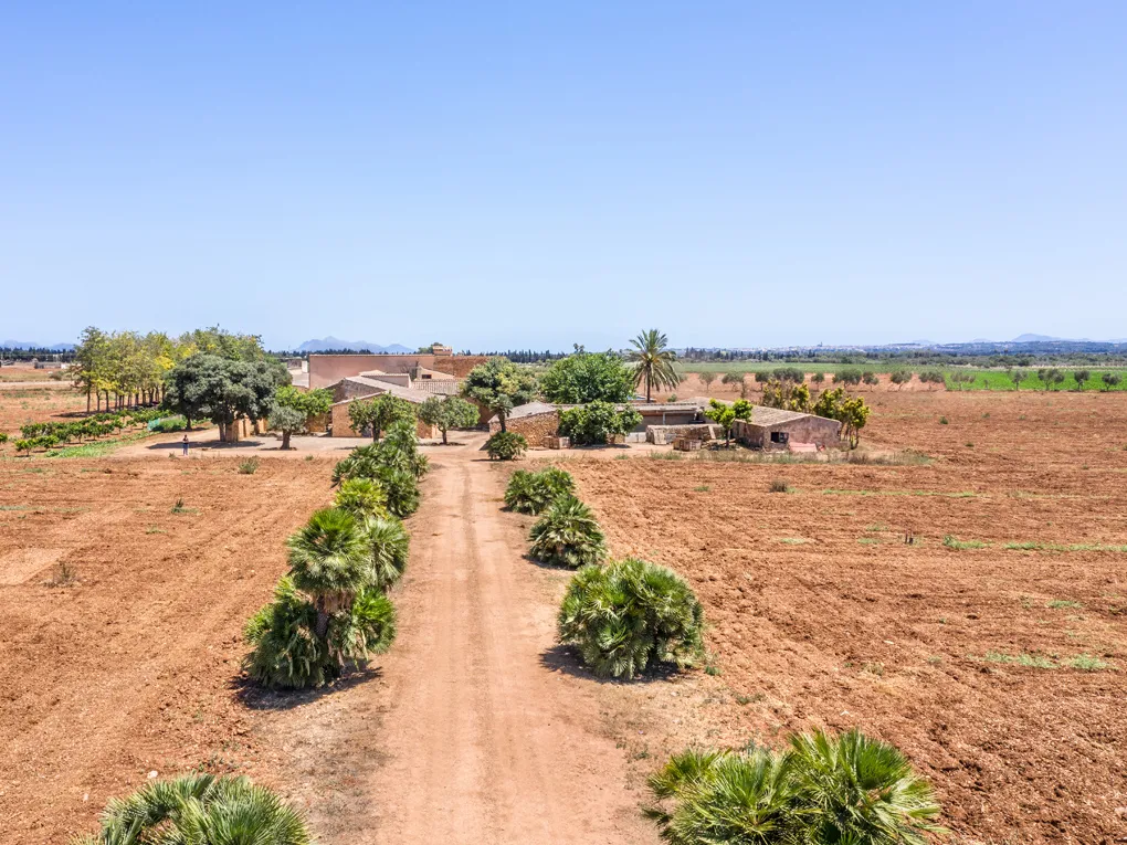 Finca per a reformar a Inca-3