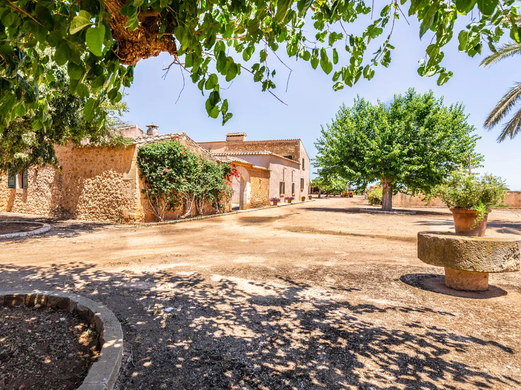 Tenuta di campagna da ristrutturare a Inca-17