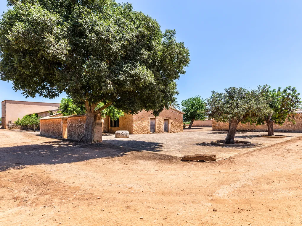 Finca per a reformar a Inca-16