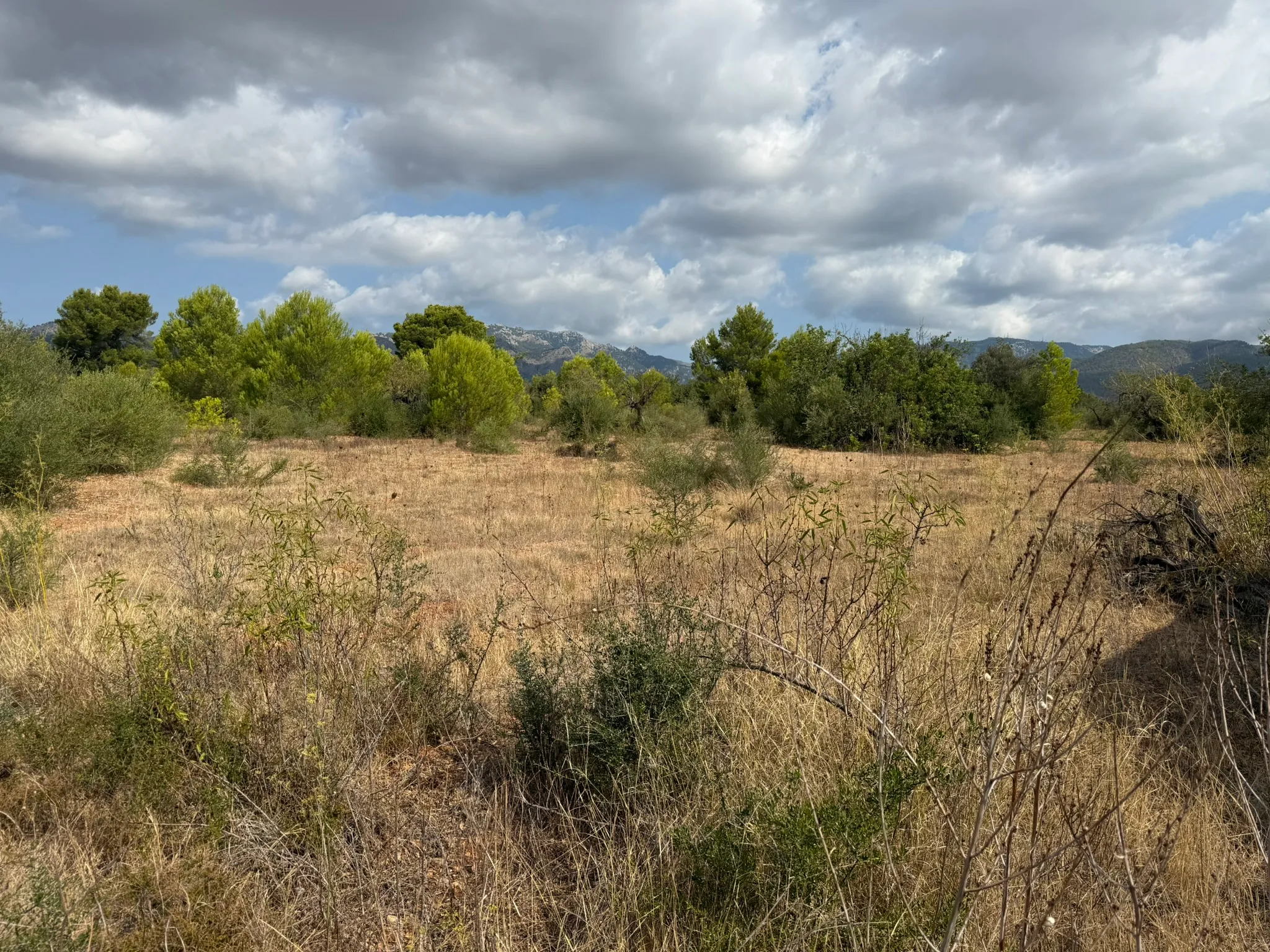 Parcel·la exclusiva per a una vila de luxe a prop de Palma-5