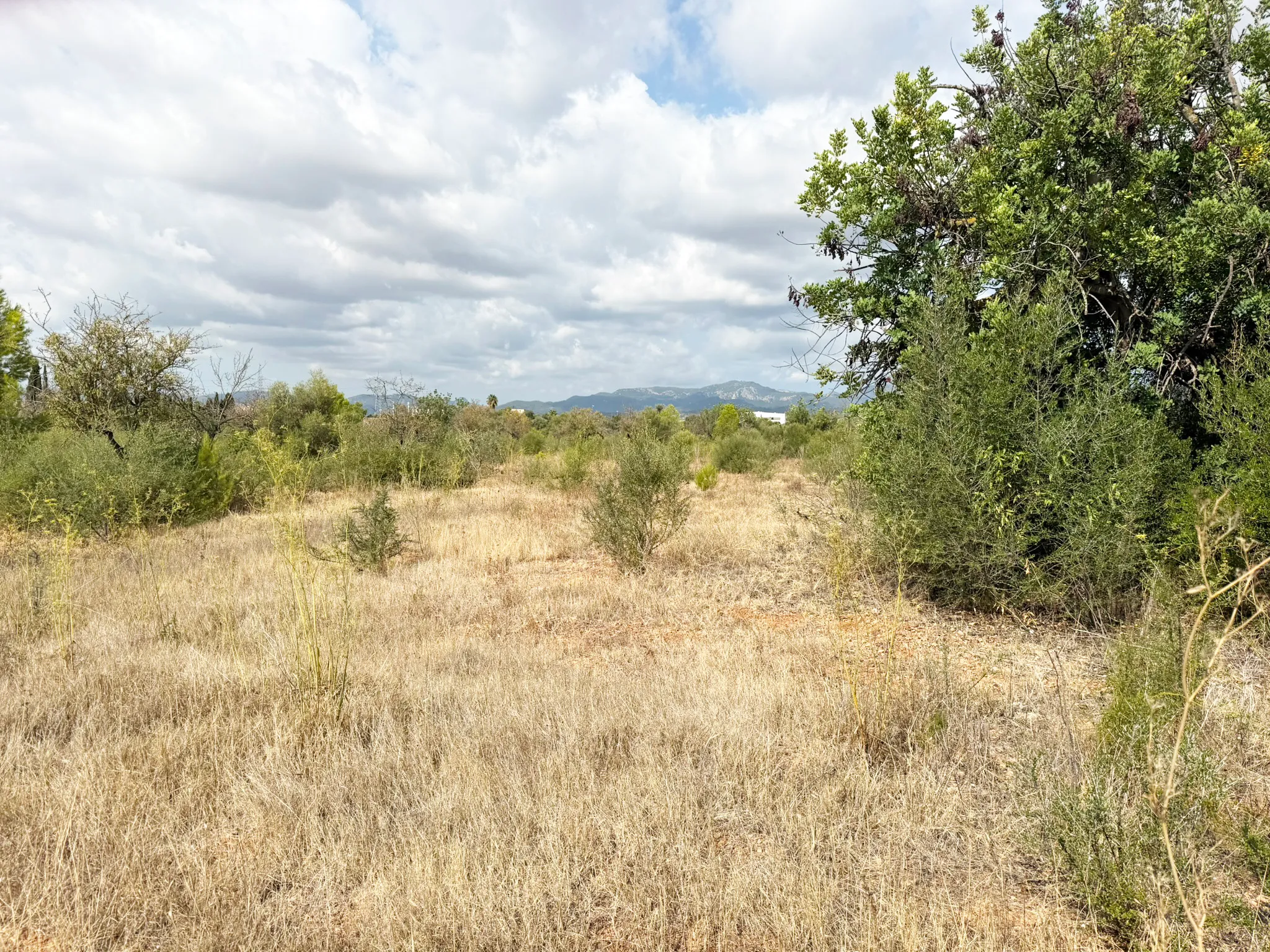 Parcel·la exclusiva per a una vila de luxe a prop de Palma-6
