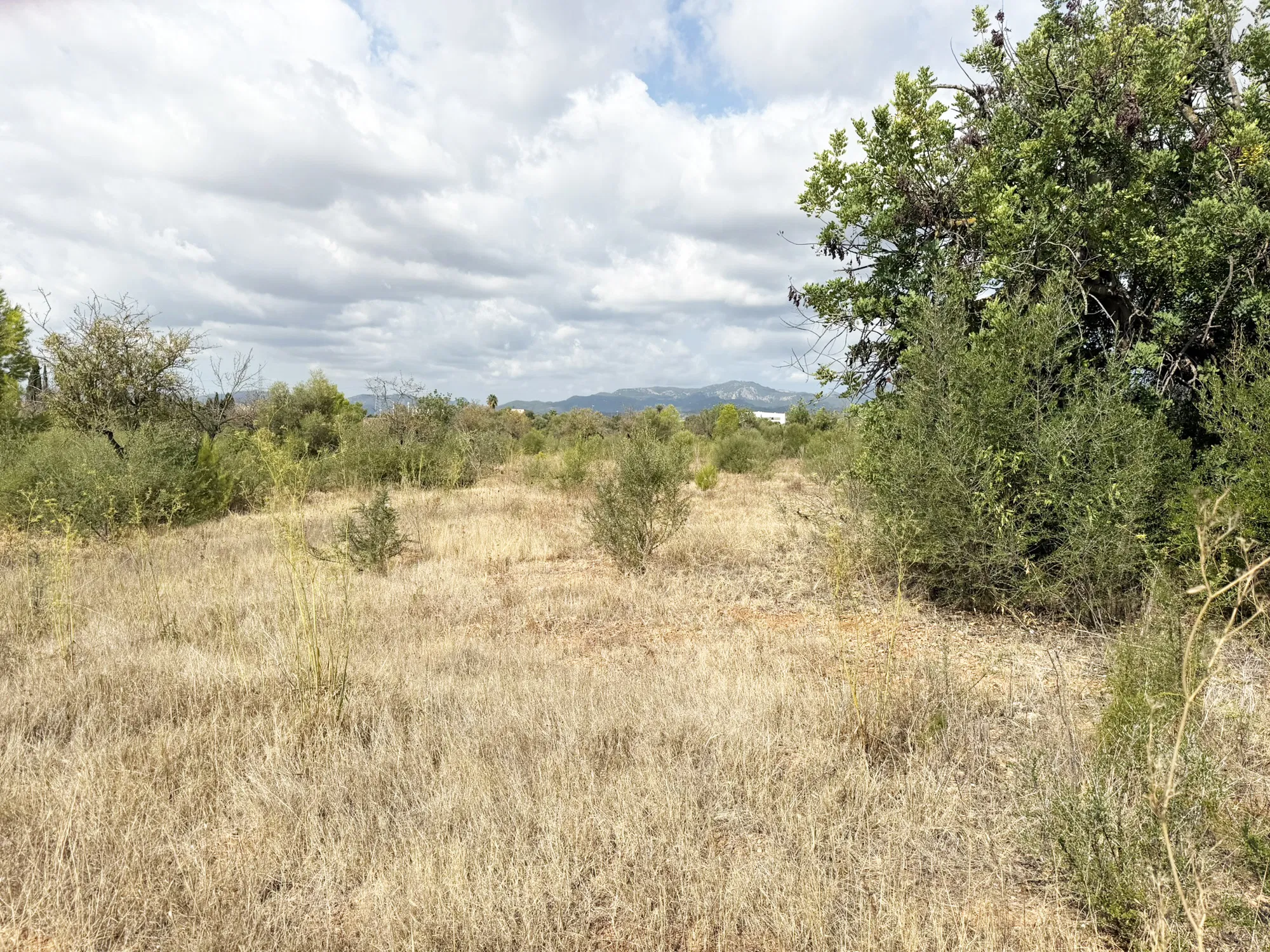 Parcel·la exclusiva per a una vila de luxe a prop de Palma-10
