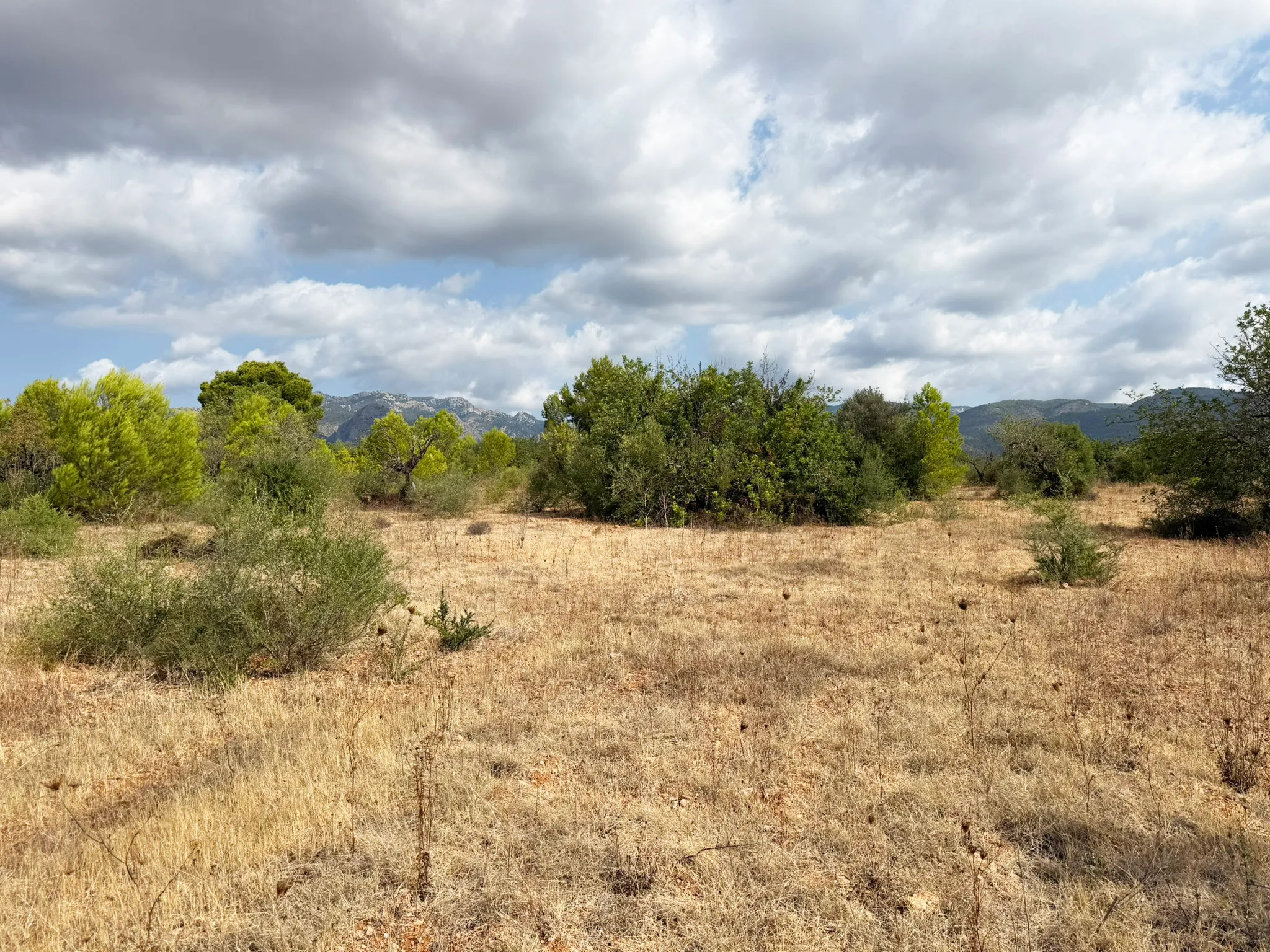 Parcel·la exclusiva per a una vila de luxe a prop de Palma-7