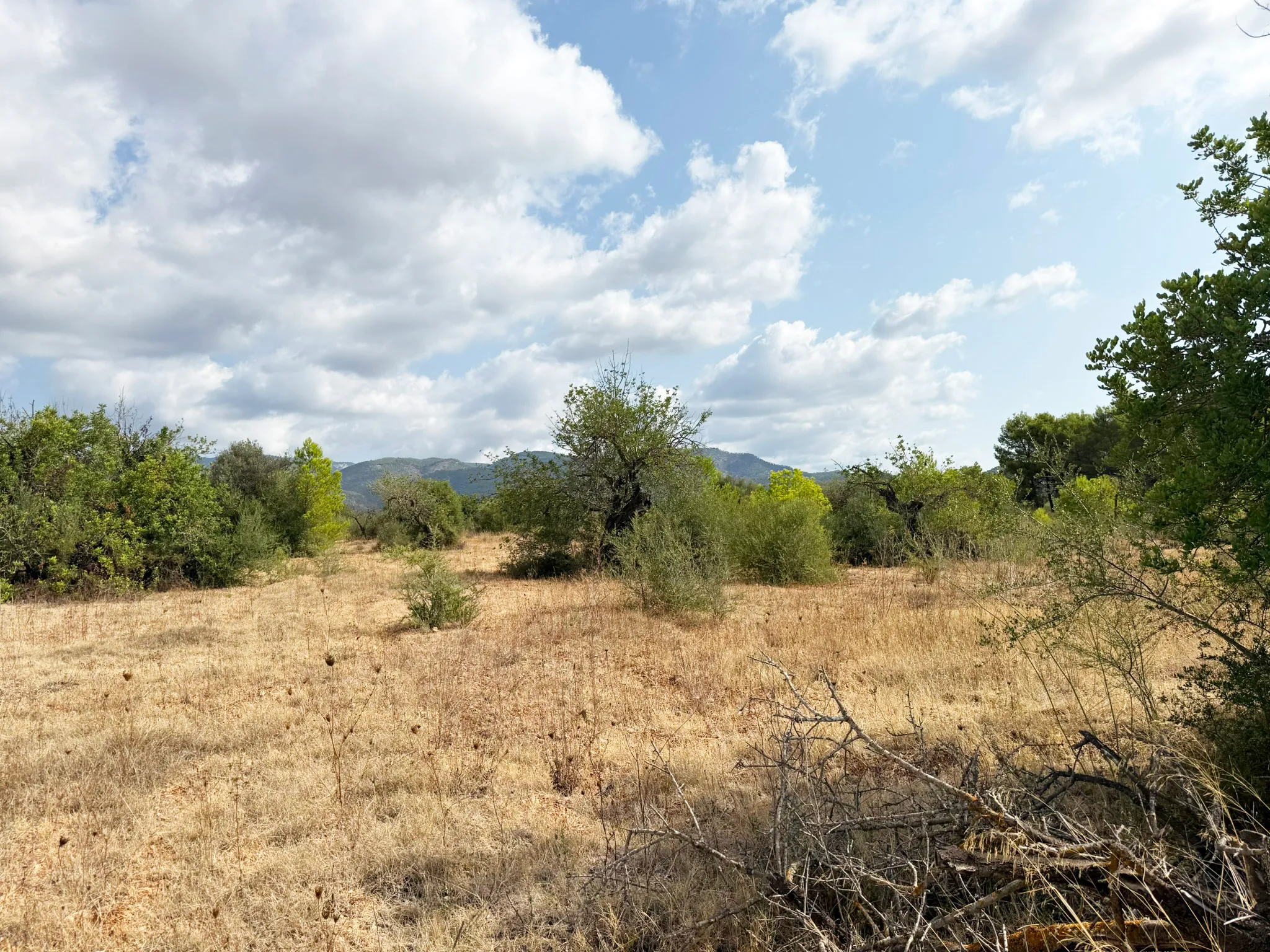 Parcel·la exclusiva per a una vila de luxe a prop de Palma-8