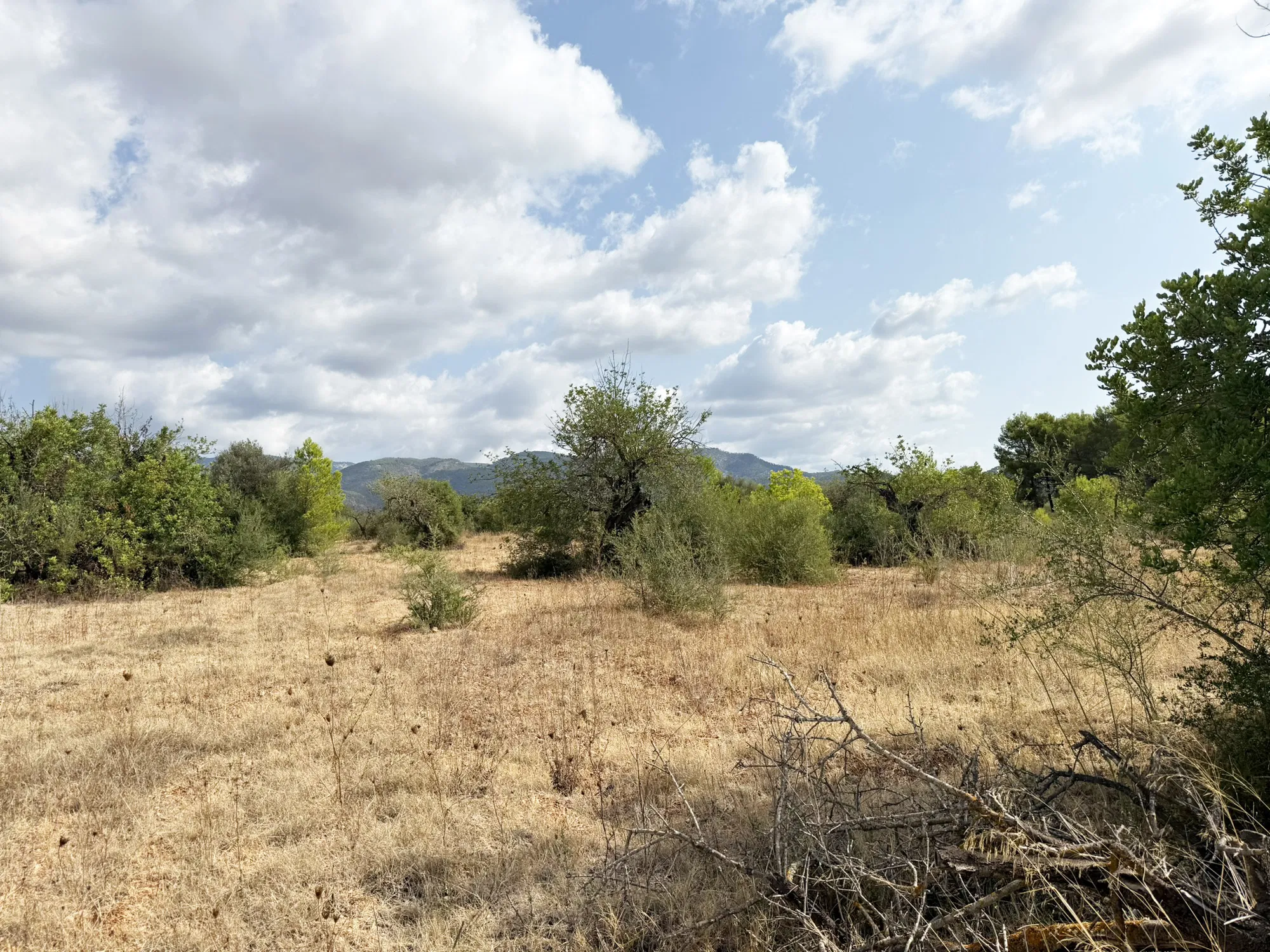 Parcel·la exclusiva per a una vila de luxe a prop de Palma-12