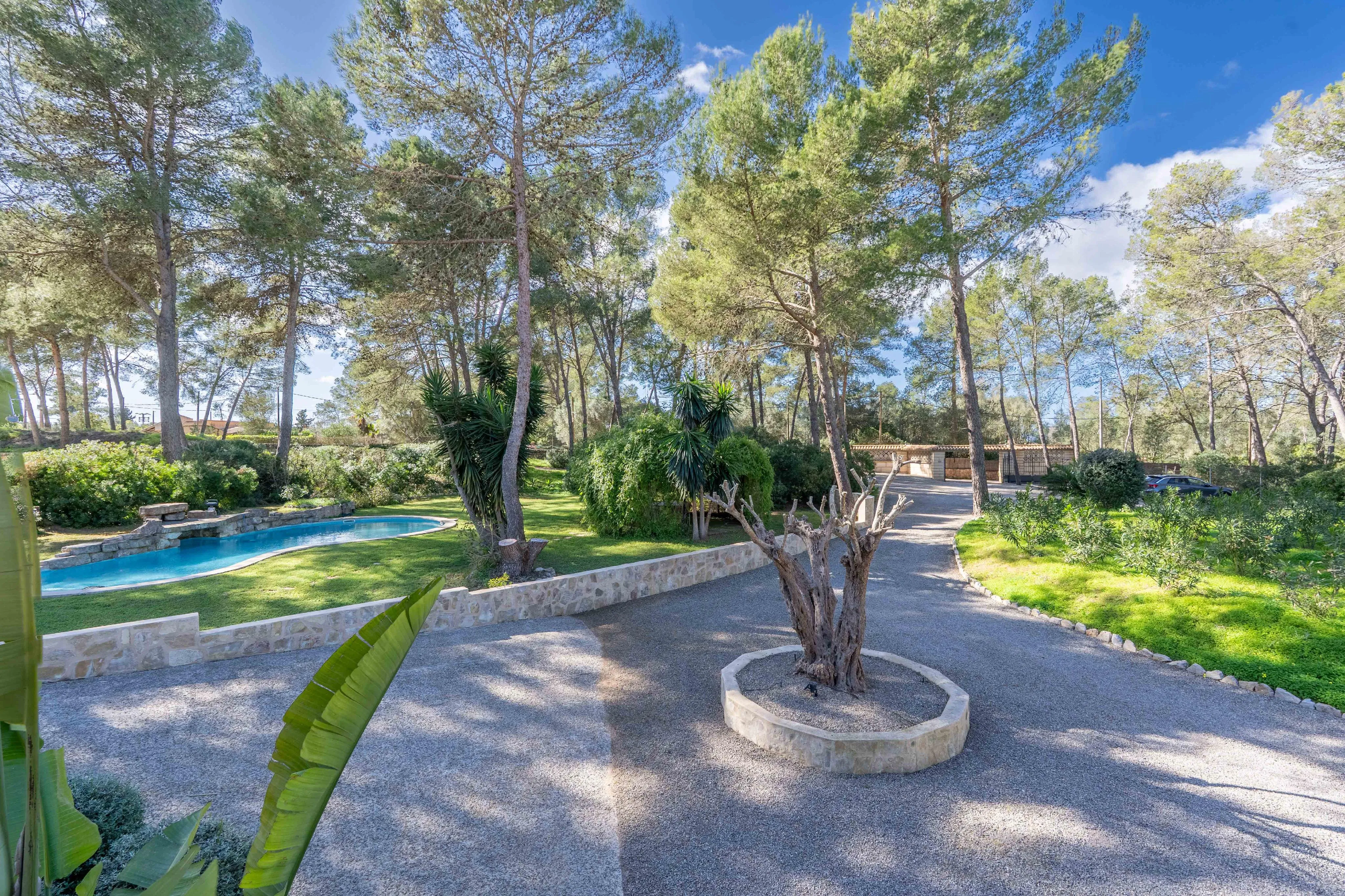 Autentica finca in pietra naturale vicino a Palma-3