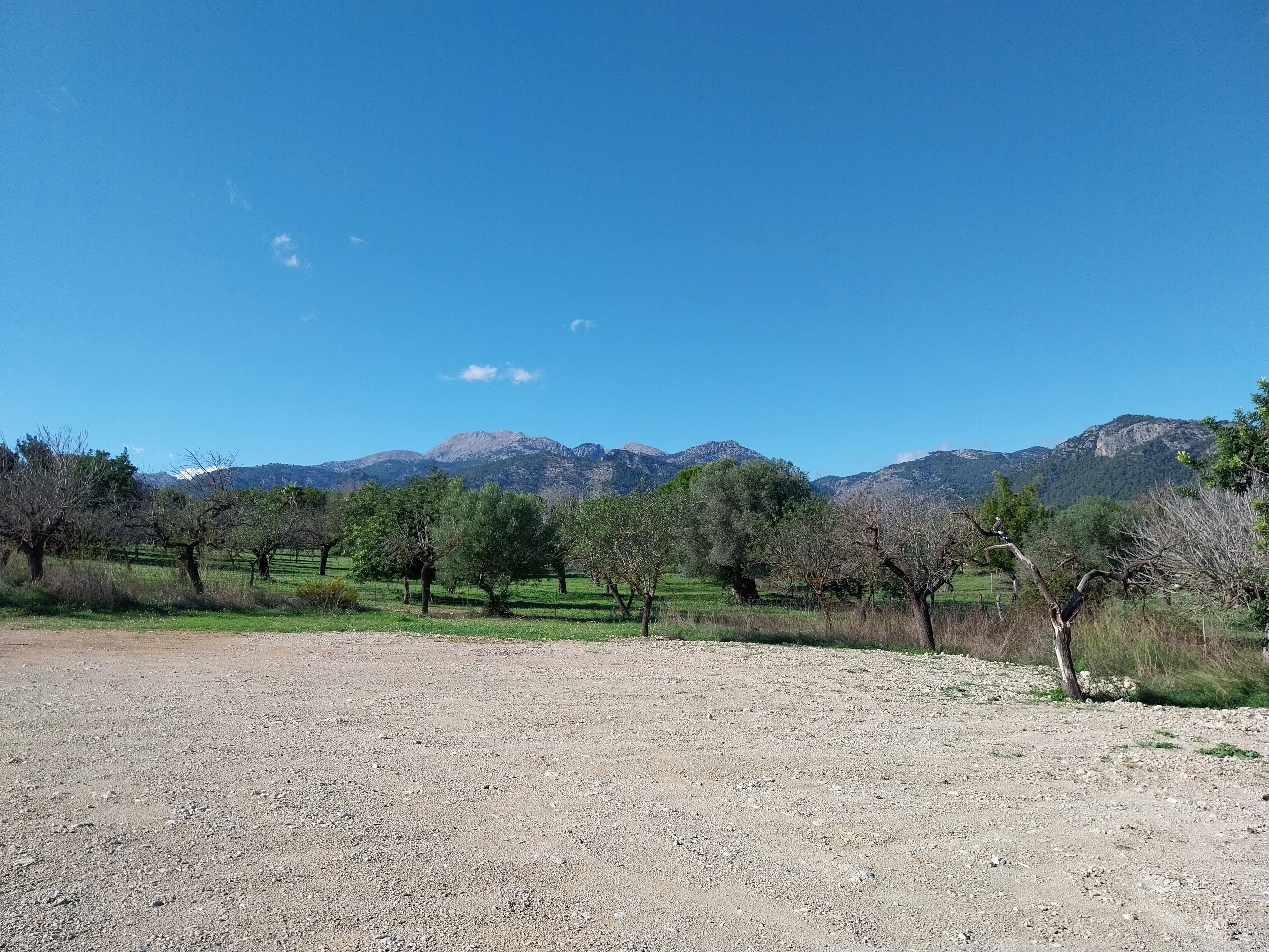 Finca of outstanding design in a privileged location-9