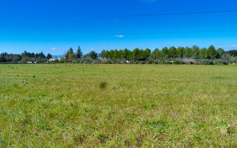 Działka z projektem w Sencelles