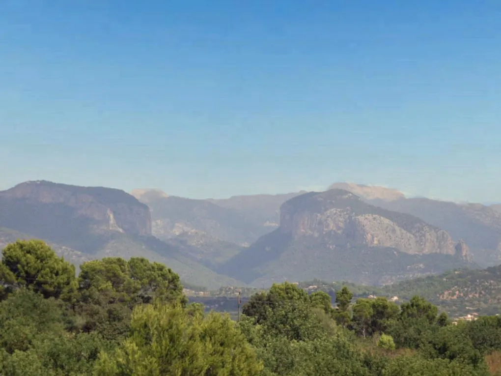 Finca avec vue sur Palma et les montagnes de Tramuntana-25