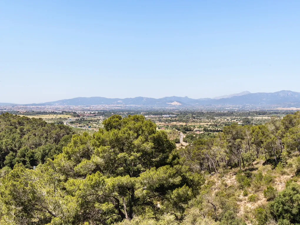 Finca avec vue sur Palma et les montagnes de Tramuntana-15
