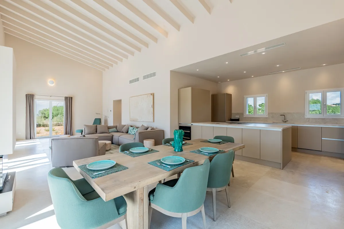 Nybygget finca i én etage i moderne, puristisk stil-4