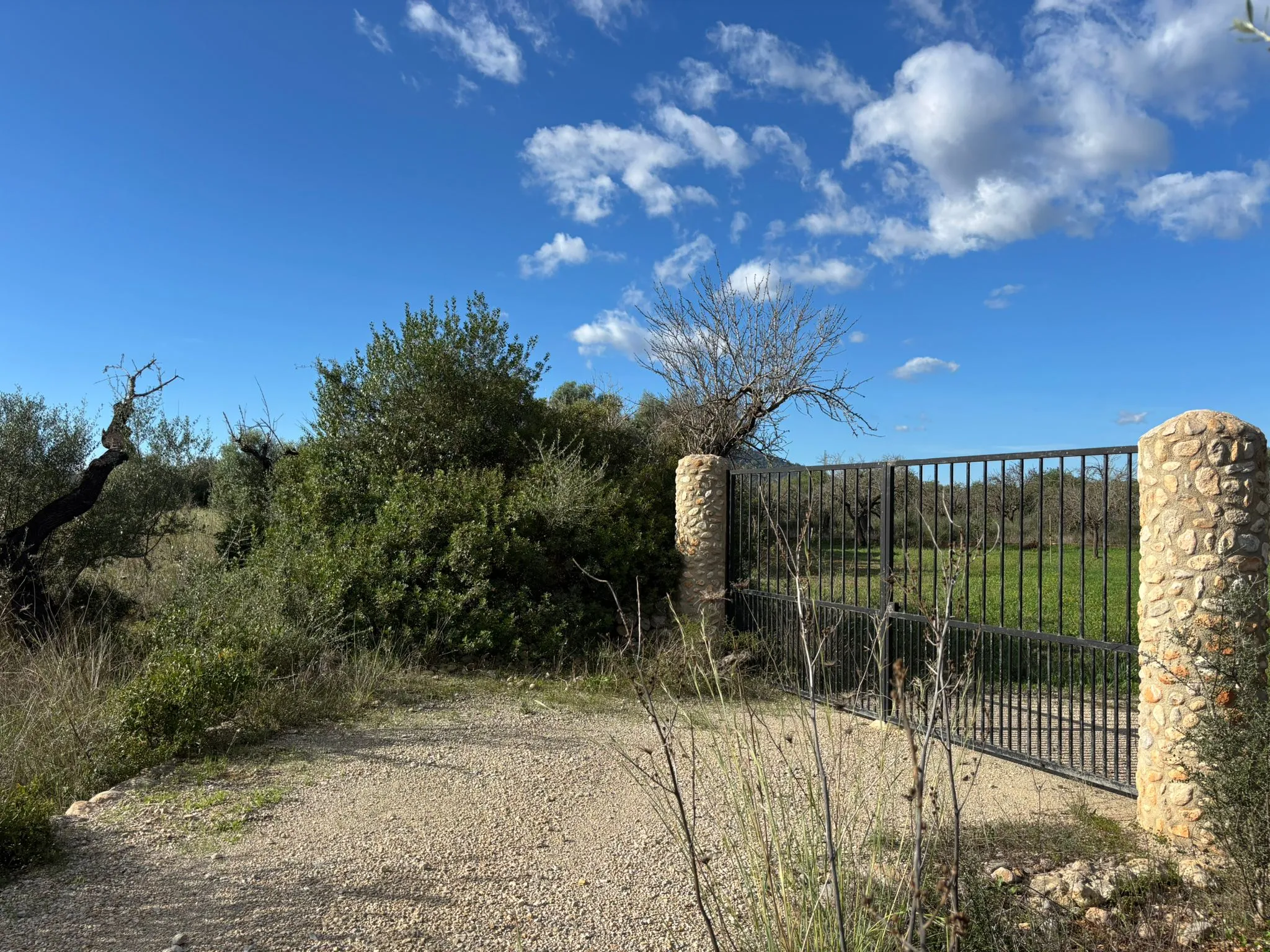 Plot with building license in Búger-5