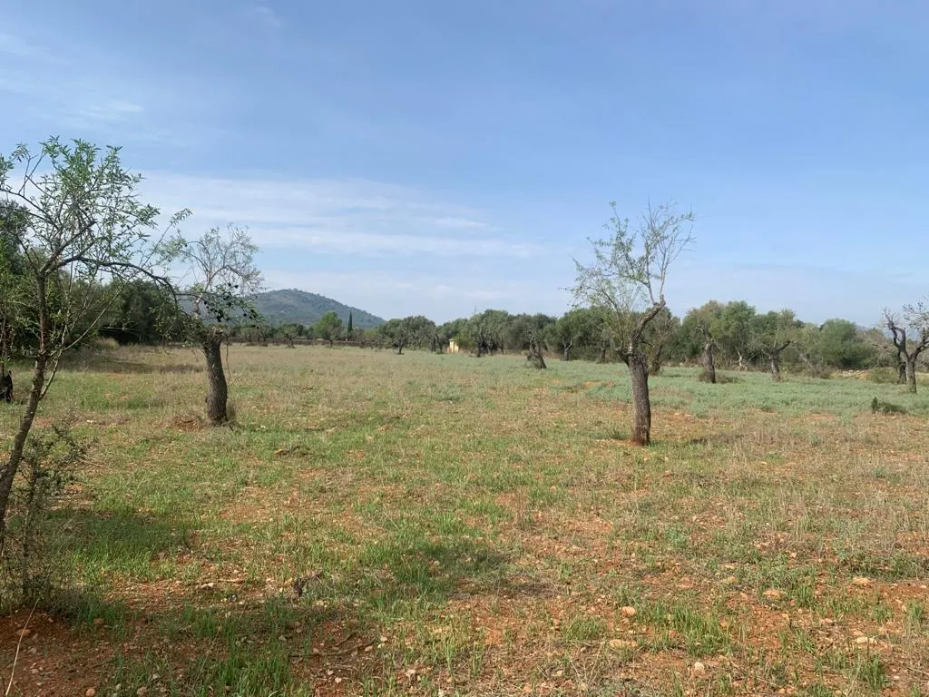 Plot with building license in Búger-4