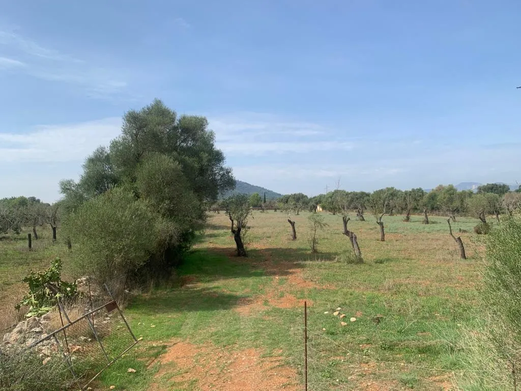 Plot with building license in Búger-8