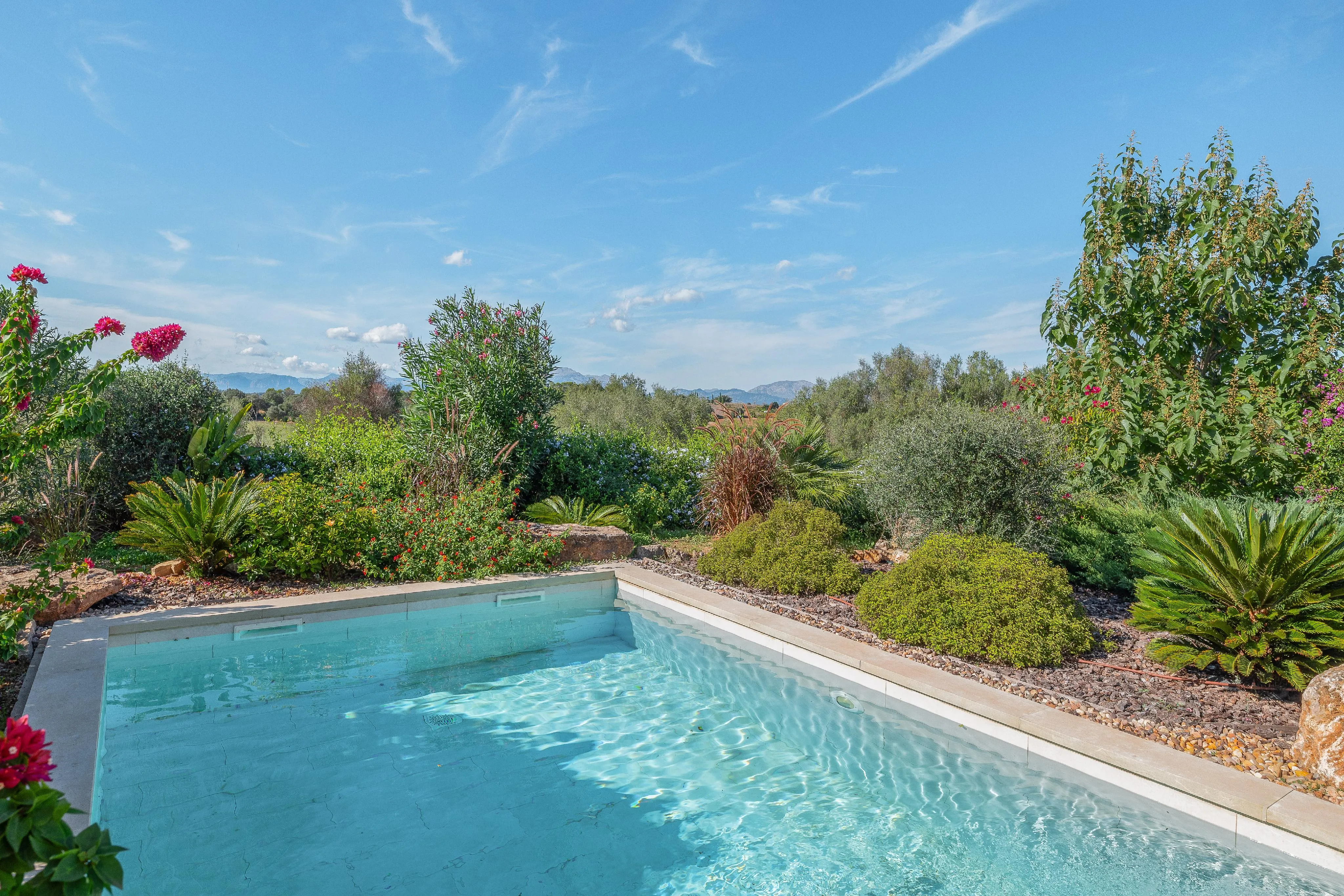 Minimalistisk finca i María de la Salut-15