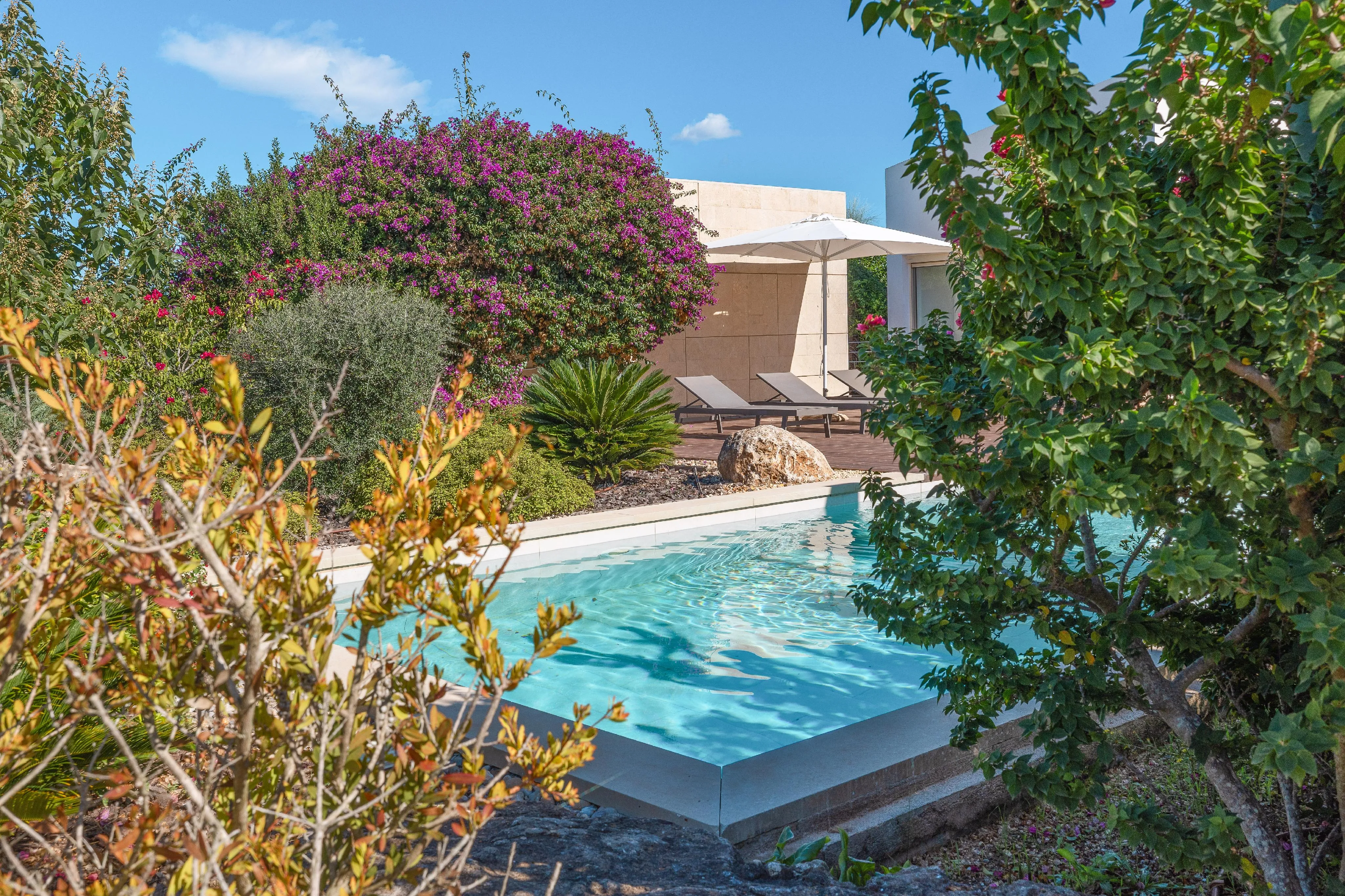 Minimalistisk finca i María de la Salut-3