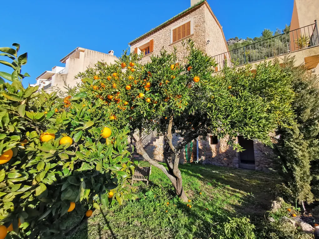 Rækkehus med etv-licens i Bunyola-17
