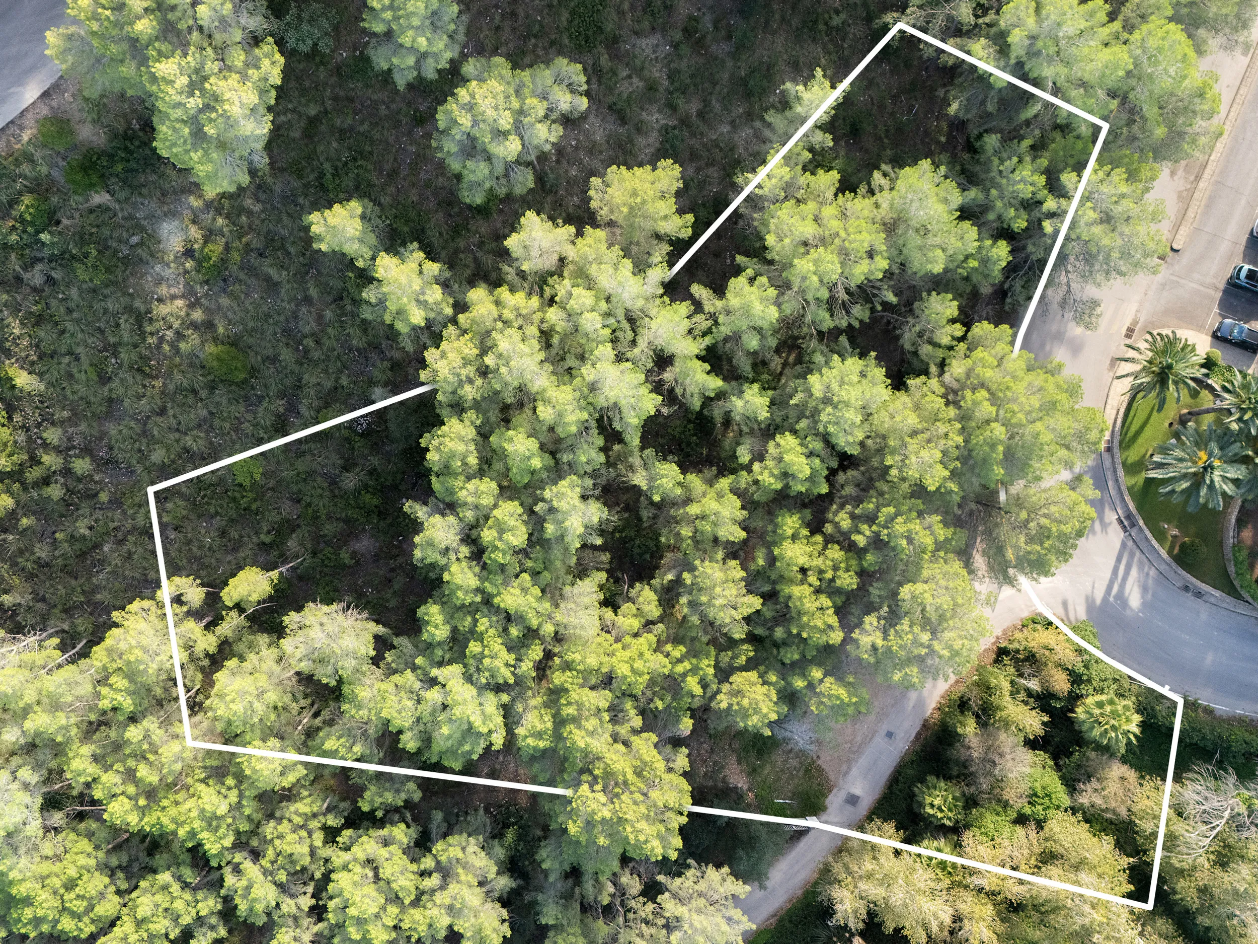 Amplia parcela edificable con proyecto en la parte baja de Son Vida-3