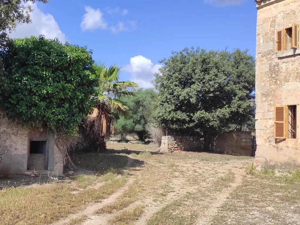 Son Marrón: een historische schat in het hart van Mallorca-3