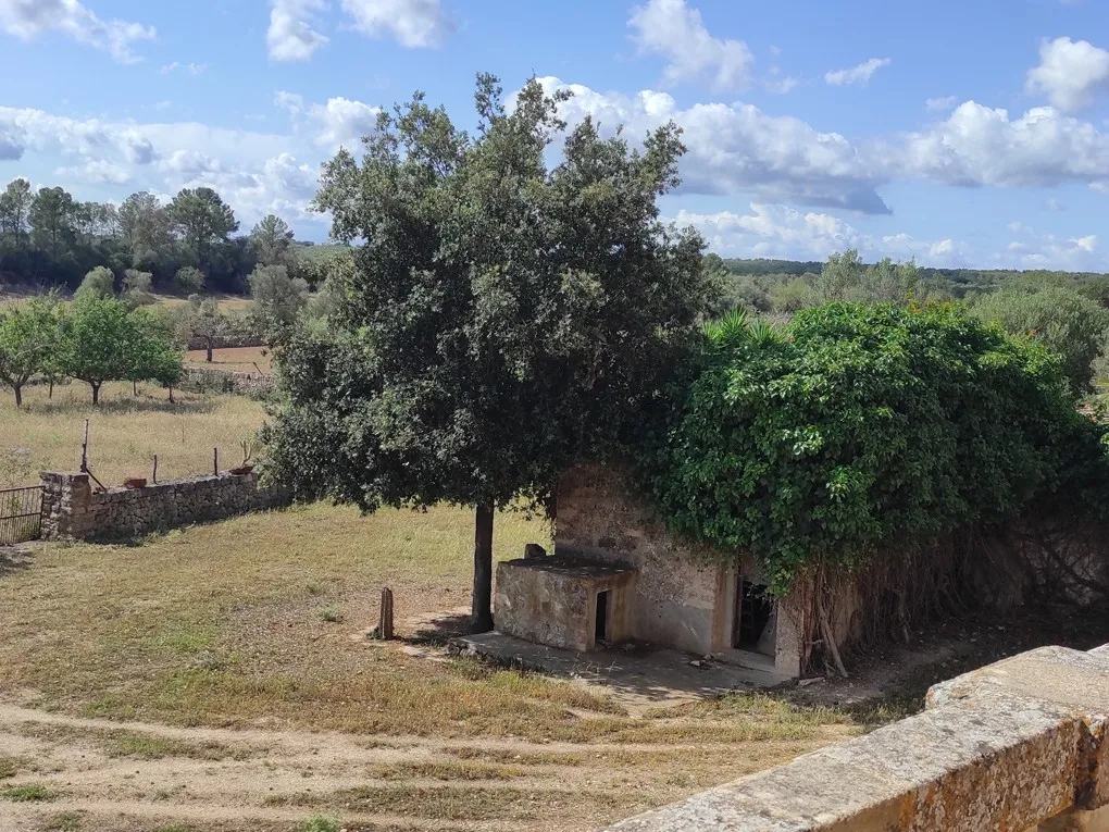 Son Marrón: een historische schat in het hart van Mallorca-9