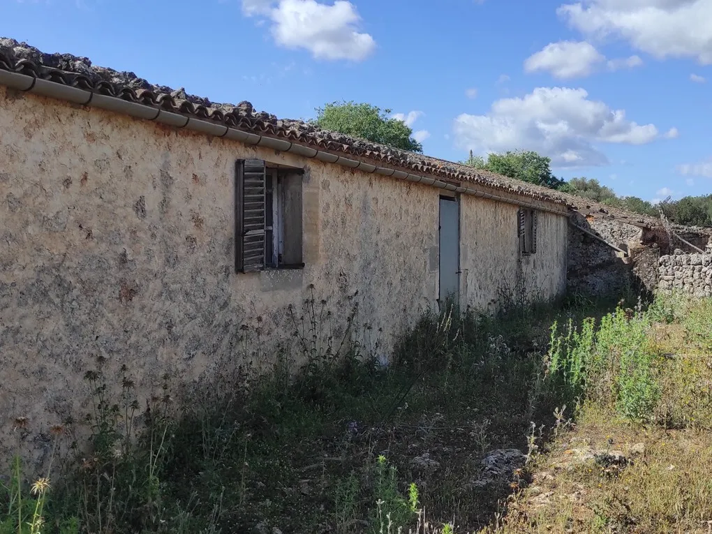 Son Marrón: een historische schat in het hart van Mallorca-5