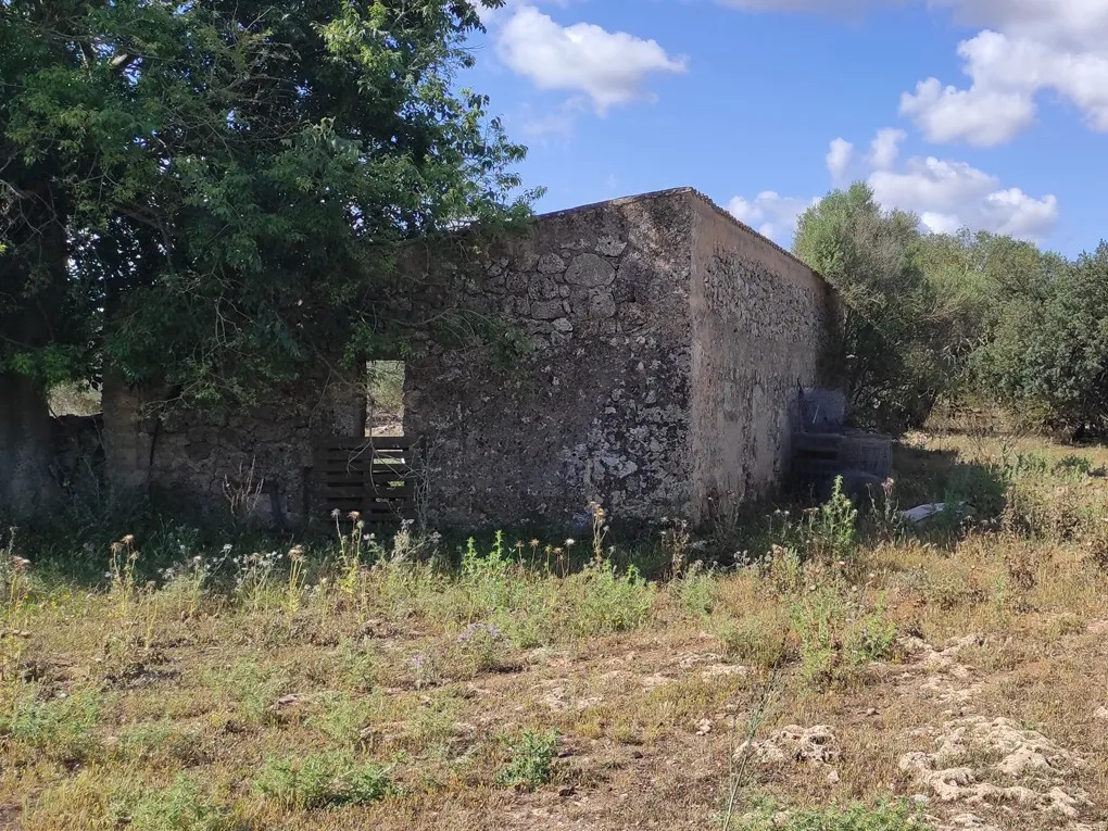 Son Marrón: En historisk skat i hjertet af Mallorca-6