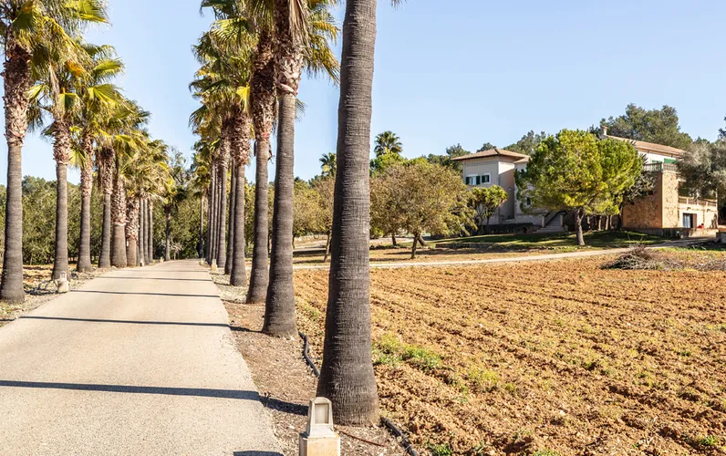 Spaziosa casa di campagna distribuita in due appartamenti separati