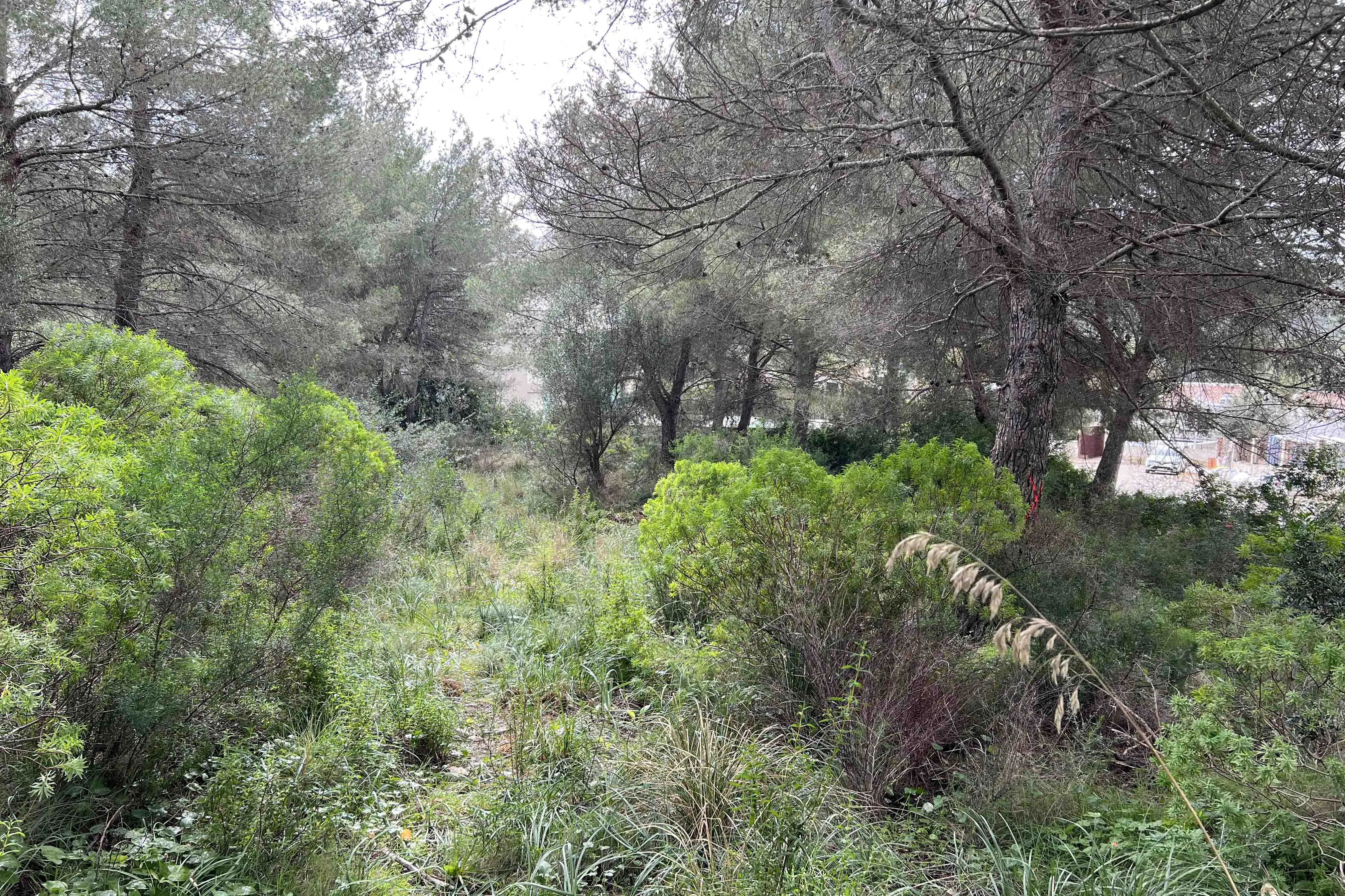 Bouwperceel te koop in de prestigieuze wijk Bonaire op Mallorca-1