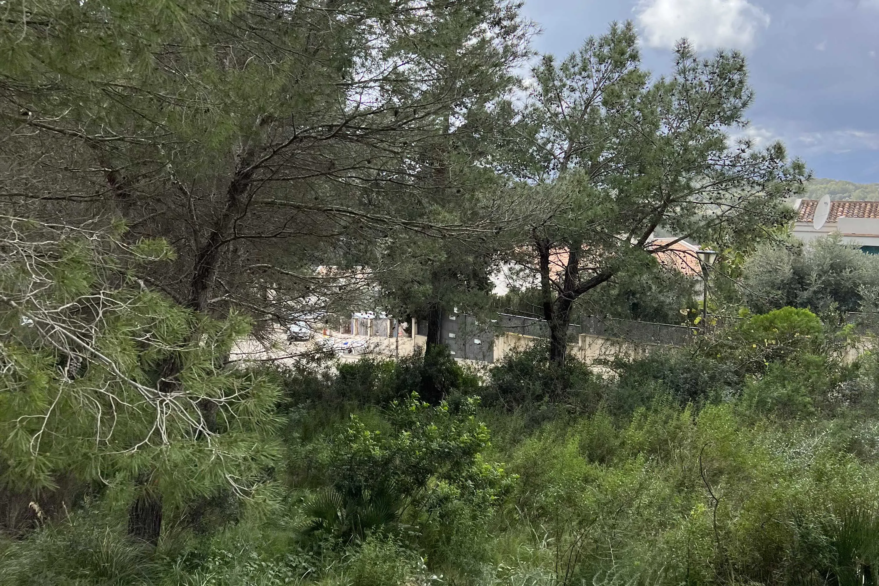 Bouwperceel te koop in de prestigieuze wijk Bonaire op Mallorca-4