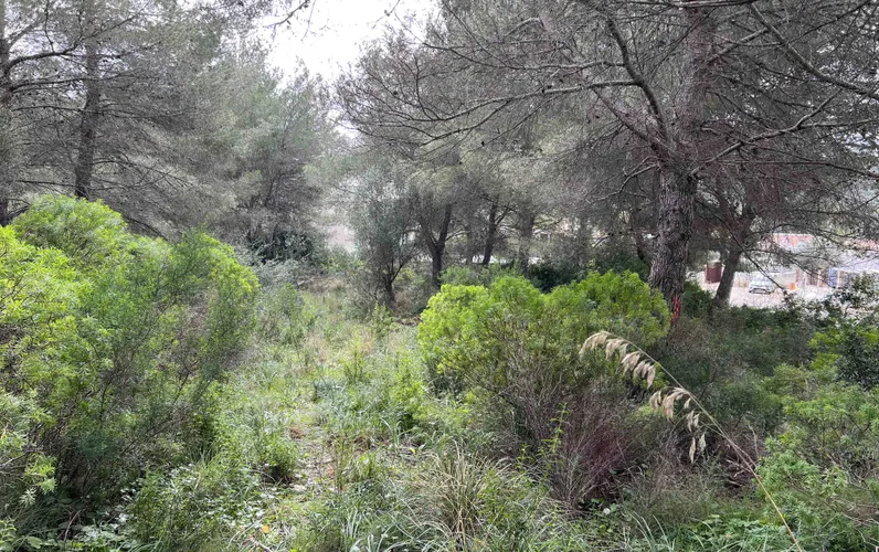 Bouwperceel te koop in de prestigieuze wijk Bonaire op Mallorca