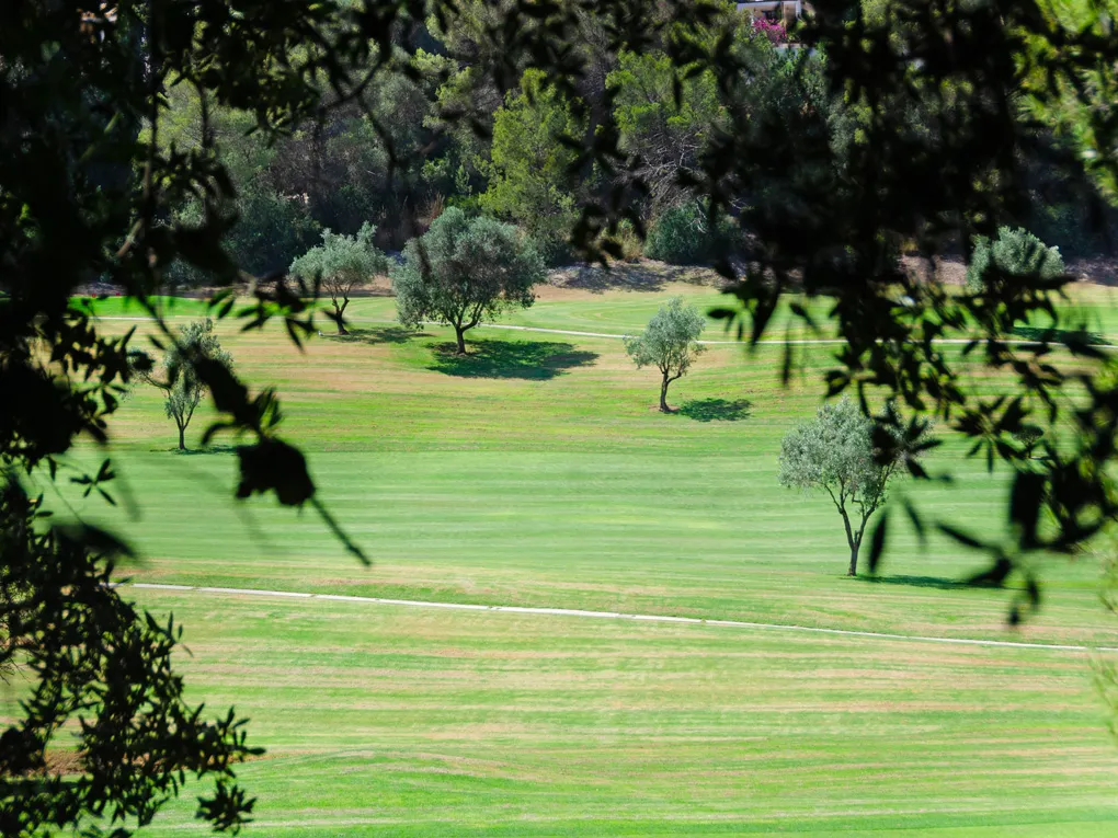 Solar pla al costat del camp de golf de Son Vida-5