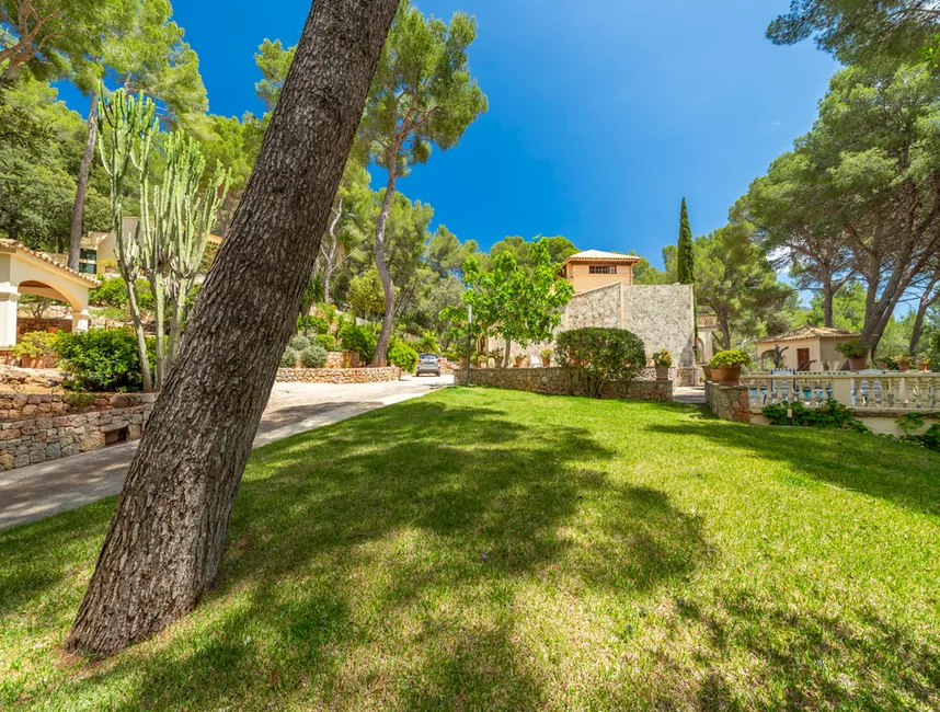 " PUIG DEL AGUILA " Vakantiewoningen in Formentor-4