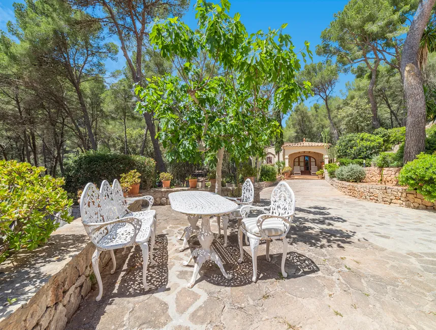 " PUIG DEL AGUILA " Semesterbostäder i Formentor-19