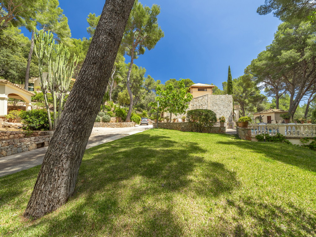 " PUIG DEL AGUILA " Holiday Rentals in Formentor-4