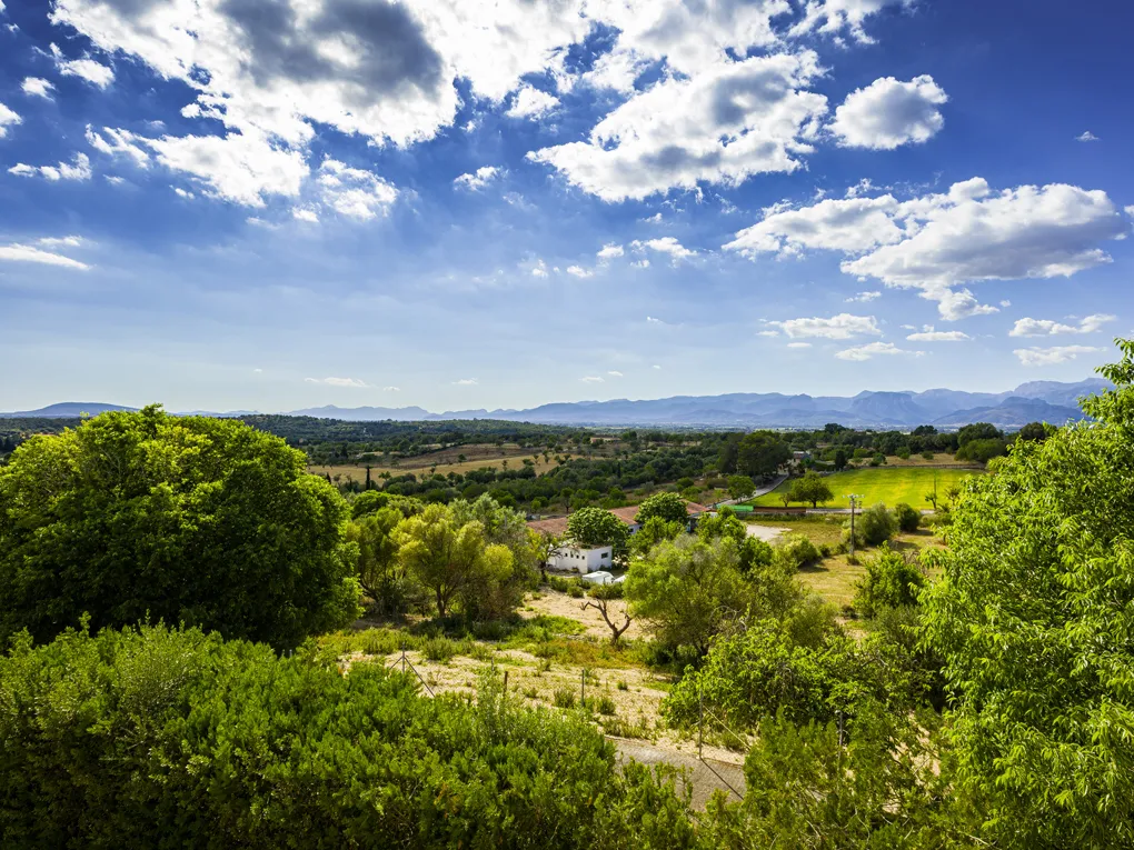 Country House with horse stables in Costitx-2