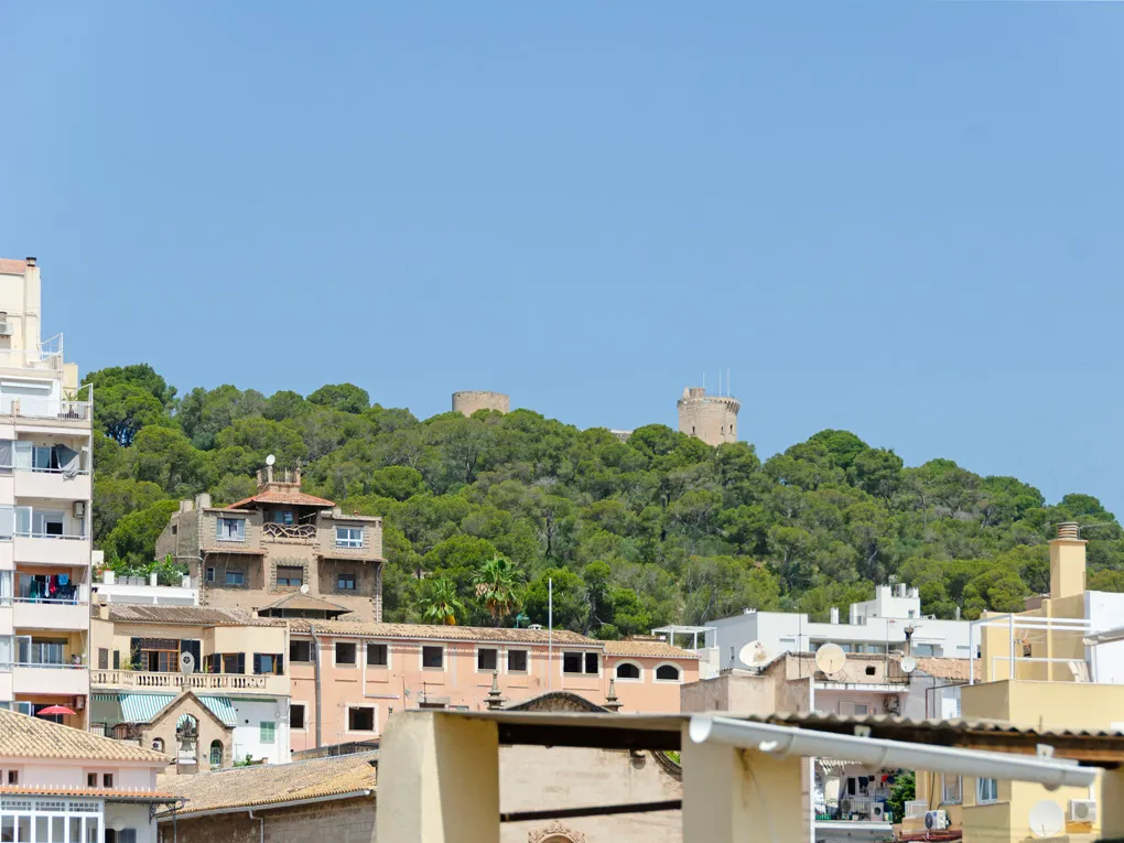 Renovated Penthouse with Private Terraces and Sea Views-11