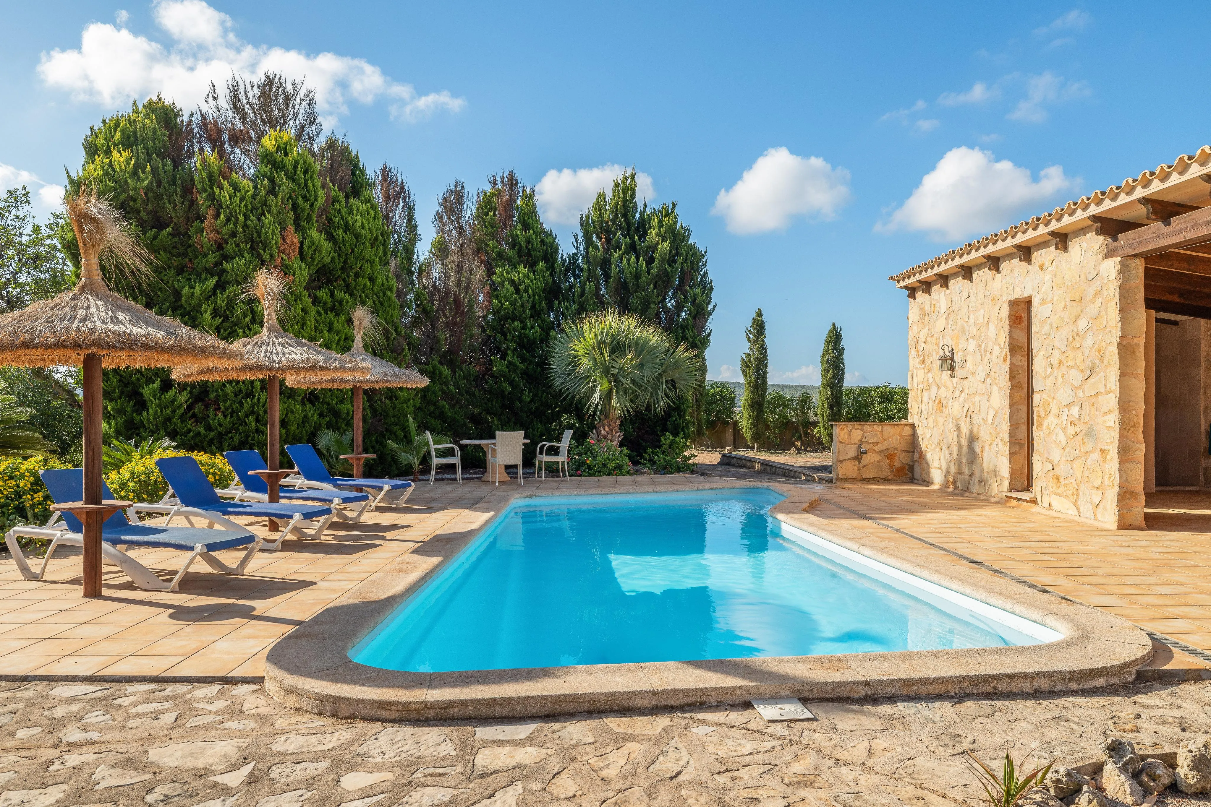 A finca of space and light in Santa María-2