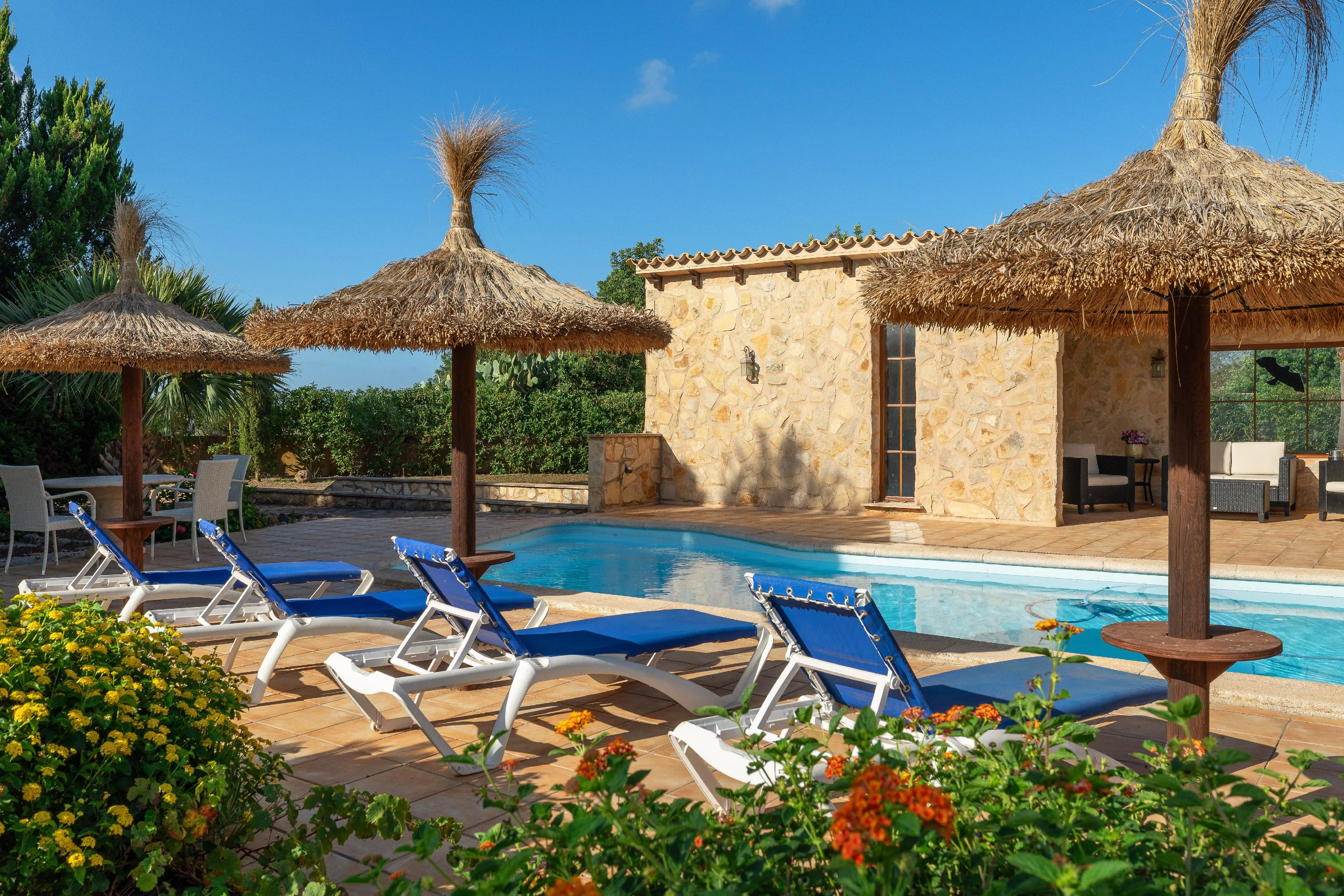 A finca of space and light in Santa María-14