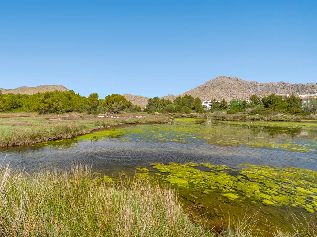 Современный, отдельно стоящий дом в непосредственной близости от пляжа-20