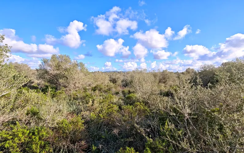 Rustiek huis met uitzicht op zee