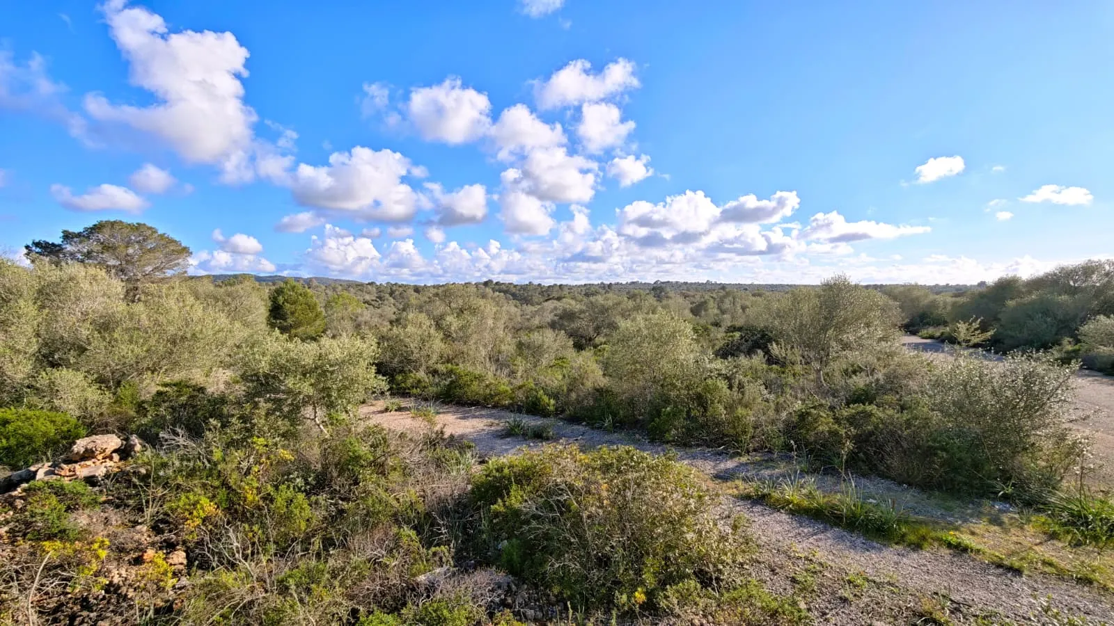 Solar rústico con vistas lejanas al mar-3