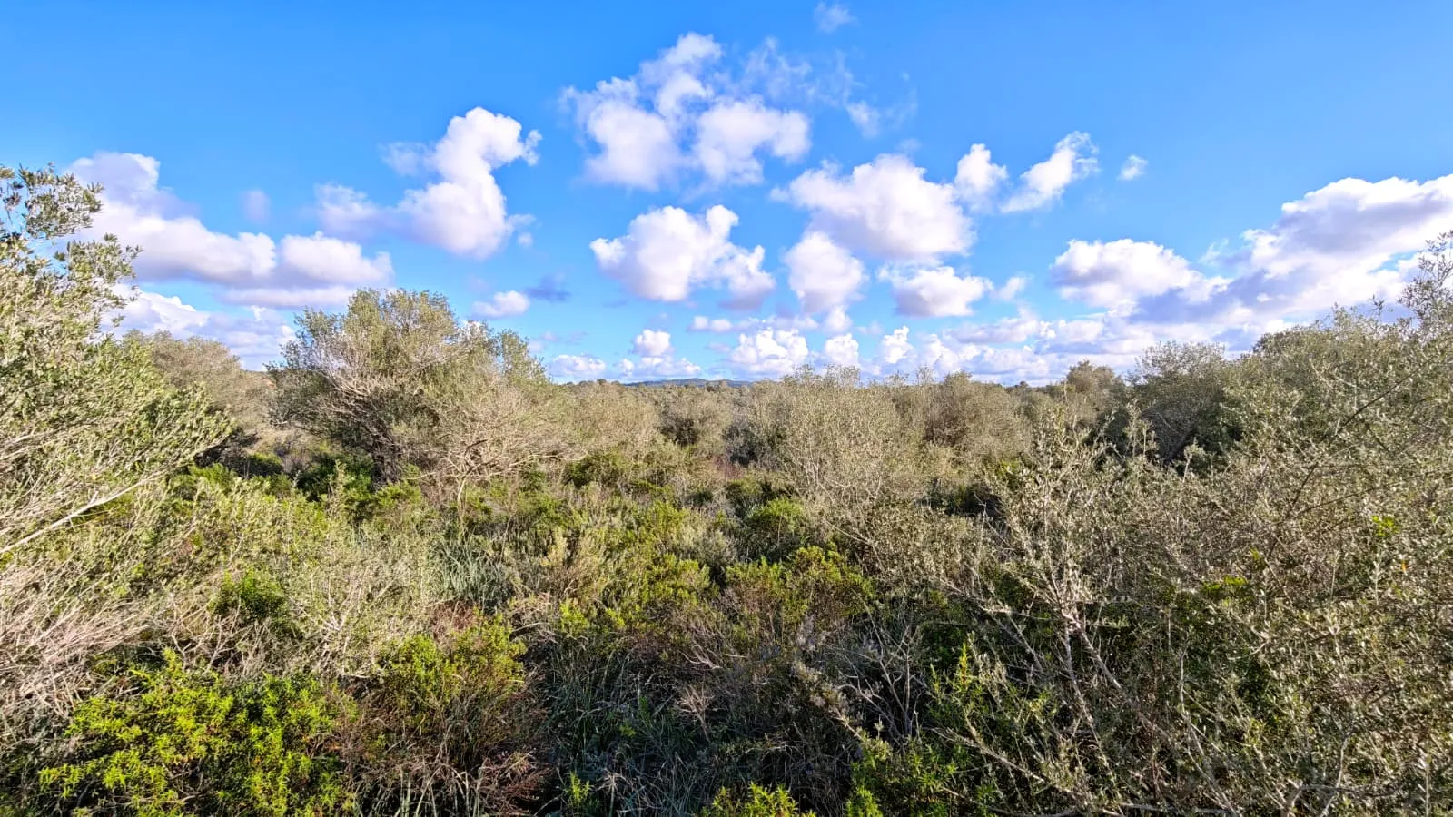 Proprietà rustica con vista sul mare-1