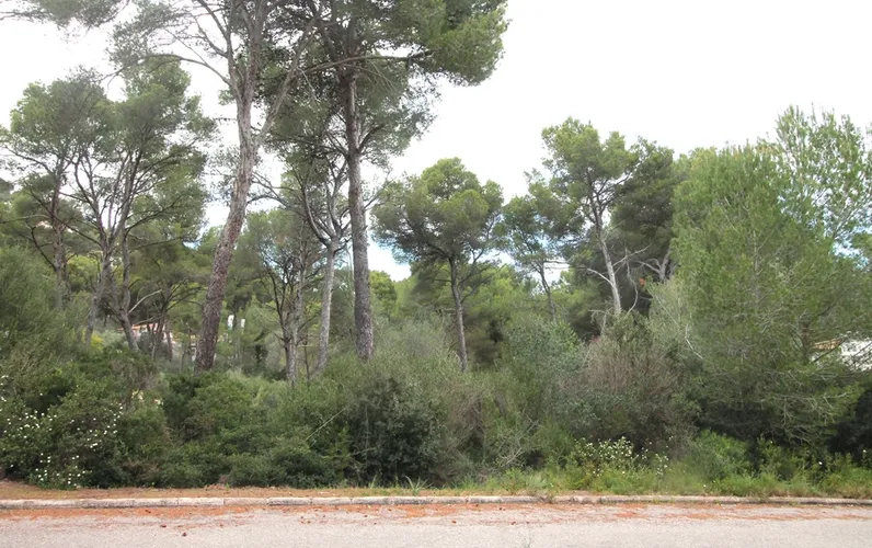 Parcela en una tranquila zona residencial