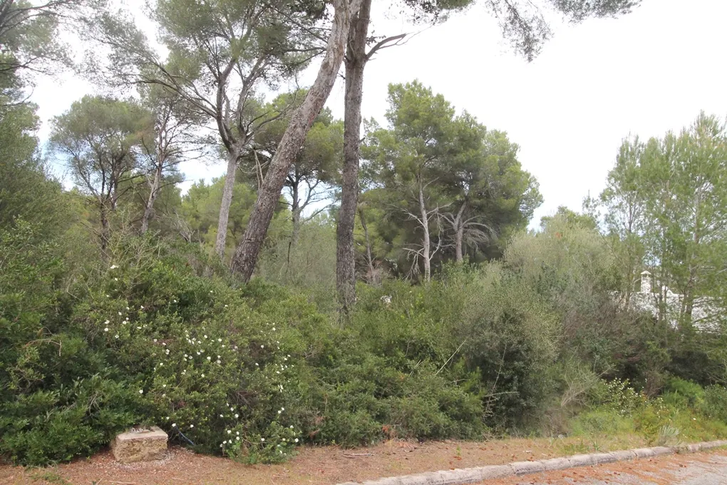 Perceel in een rustige woonwijk in Canyamel-2