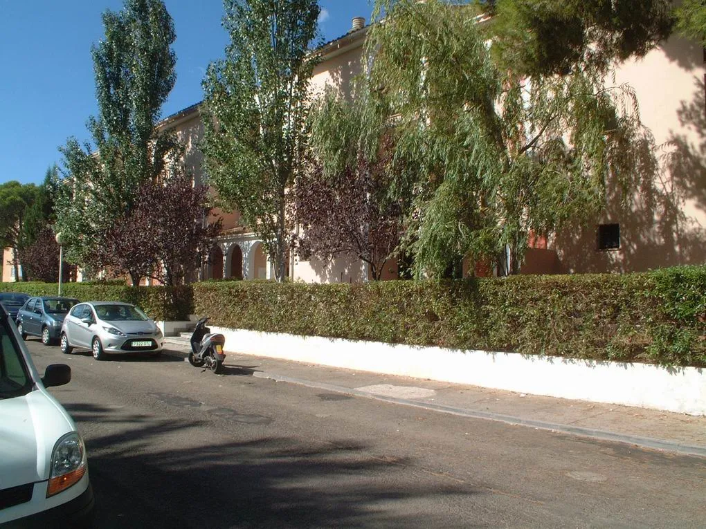 "Atico Nansa" Long-term rental in Puerto Pollensa-1